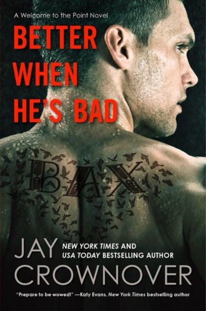 Better When He's Bad: A Welcome to the Point Novel