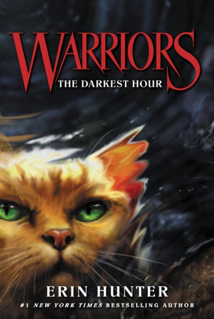 Warriors 6 The Darkest Hour