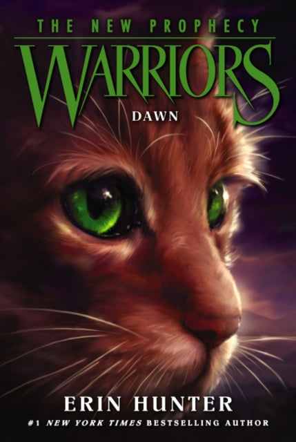 Warriors The New Prophecy 3 Dawn