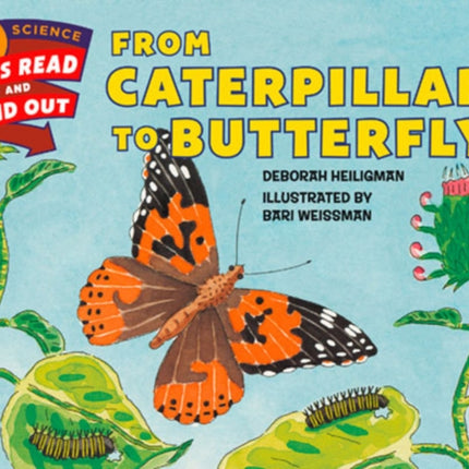 From Caterpillar To Butterfly