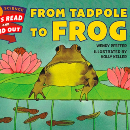 From Tadpole to Frog