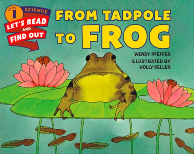 From Tadpole to Frog