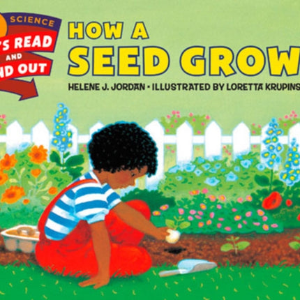 How a Seed Grows