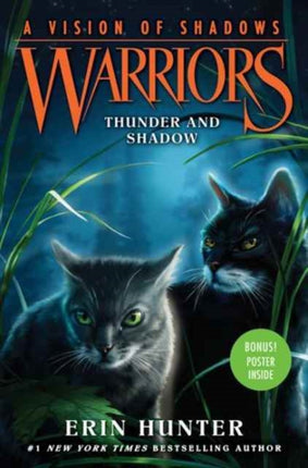 Warriors A Vision of Shadows 2 Thunder and Shadow