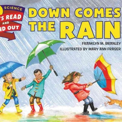 Down Comes the Rain