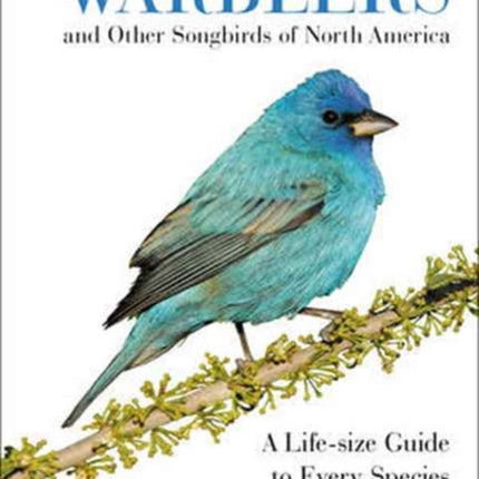 Warblers and Other Songbirds of North America: A Life-size Guide to Every Species