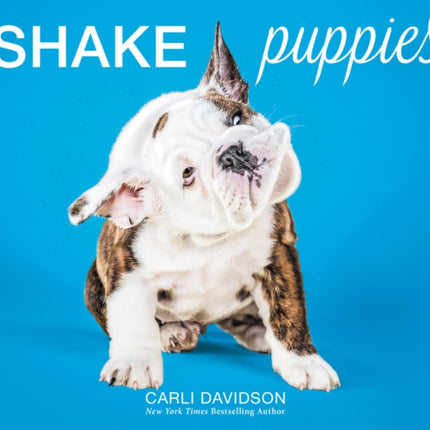 Shake Puppies