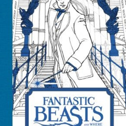 Fantastic Beasts and Where to Find Them: A Book of 20 Postcards to Color: A Coloring Book