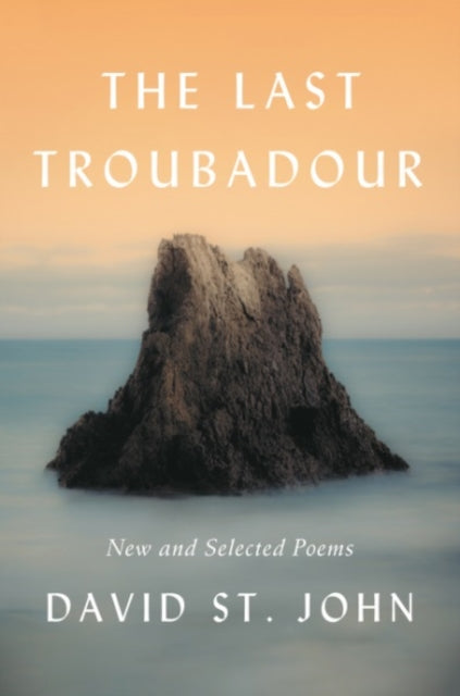 The Last Troubadour New and Selected Poems