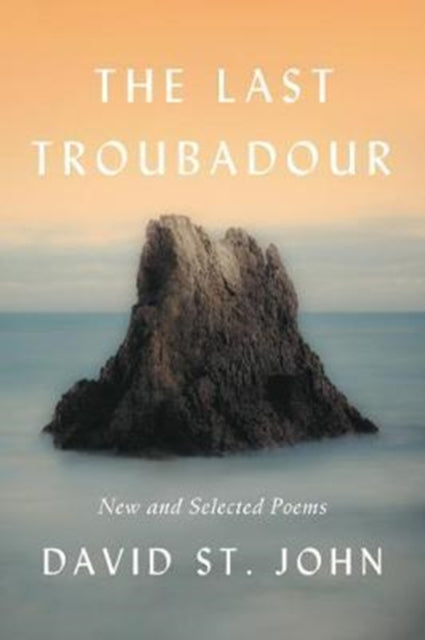 The Last Troubadour