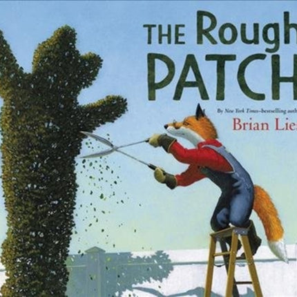 The Rough Patch: A Caldecott Honor Award Winner