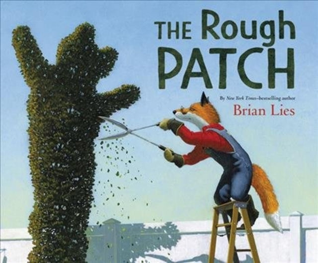 The Rough Patch: A Caldecott Honor Award Winner