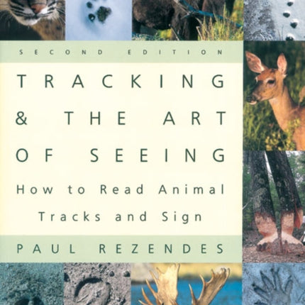 Tracking and the Art of Seeing
