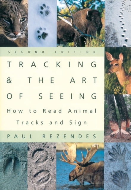 Tracking and the Art of Seeing