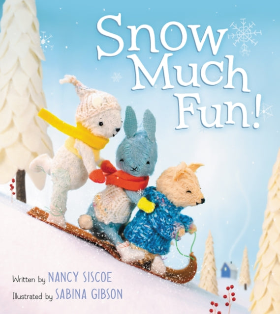 Snow Much Fun!: A Winter and Holiday Book for Kids