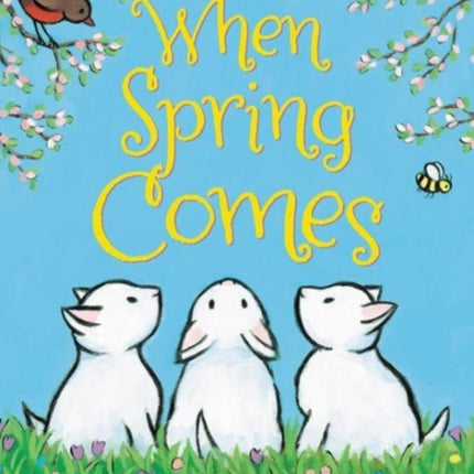 When Spring Comes Board Book