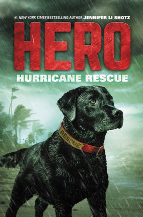 Hero Hurricane Rescue