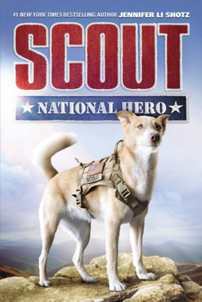 Scout