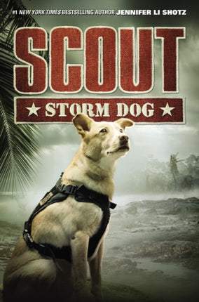 Scout Storm Dog