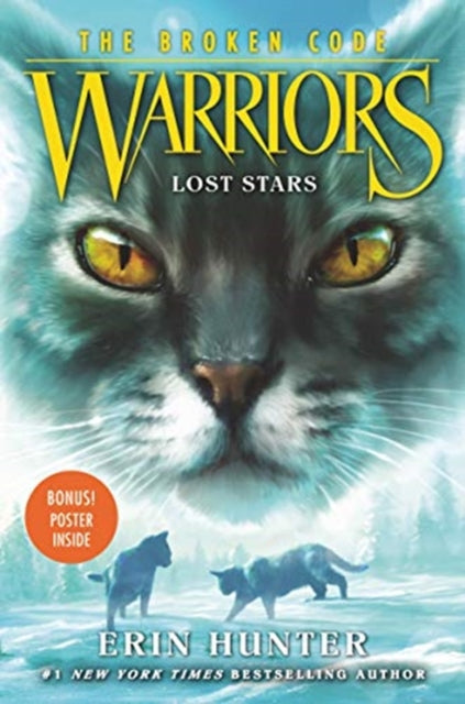 Warriors The Broken Code 1 Lost Stars