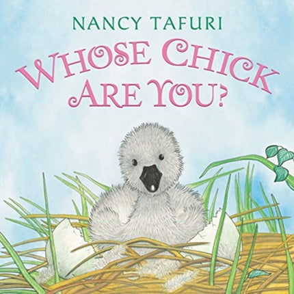 Whose Chick Are You Board Book An Easter And