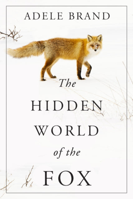 The Hidden World of the Fox