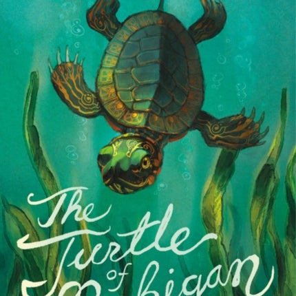 The Turtle of Michigan: A Novel