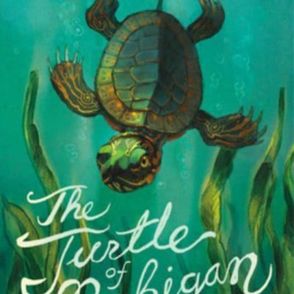 The Turtle of Michigan: A Novel