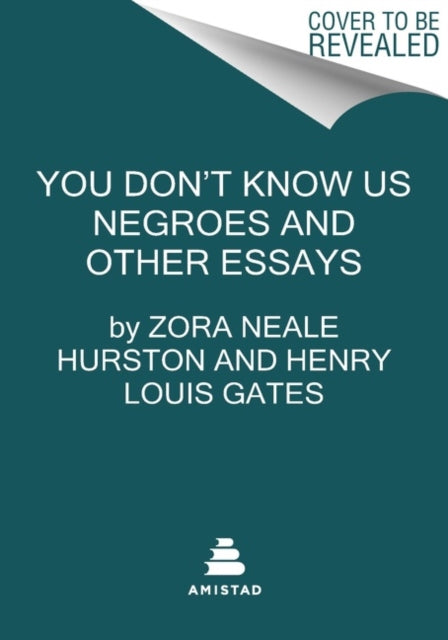 You Don't Know Us Negroes and Other Essays