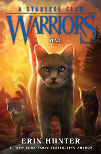 Warriors A Starless Clan 6 Star