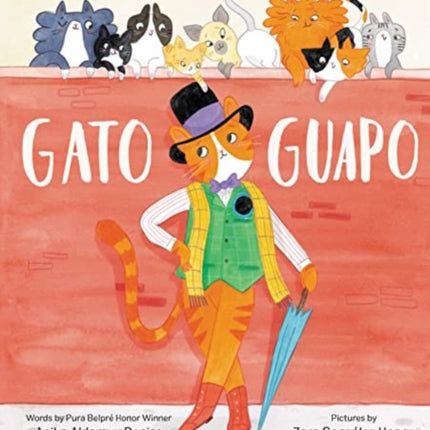 Gato Guapo