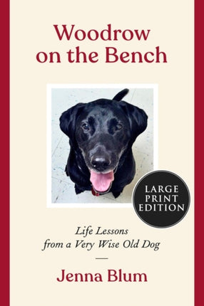 Woodrow on the Bench: Life Lessons from a Wise Old Dog