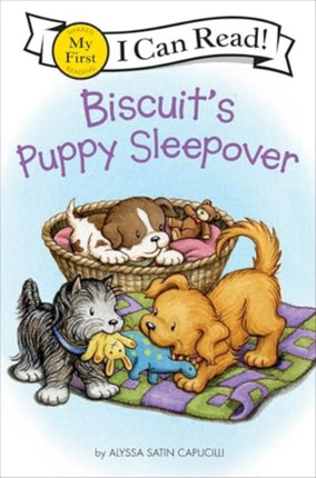 Biscuits Puppy Sleepover