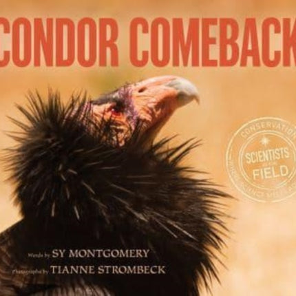 Condor Comeback