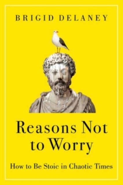 Reasons Not to Worry: How to Be Stoic in Chaotic Times