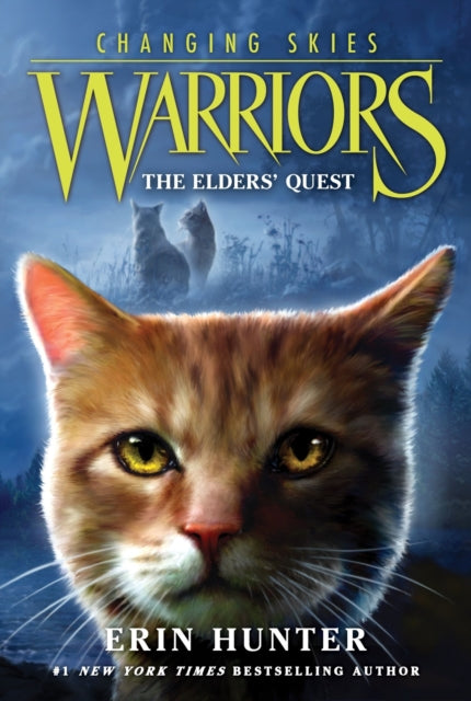 Warriors Changing Skies 1 The Elders Quest