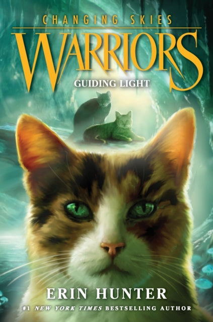 Warriors Changing Skies 4 Guiding Light