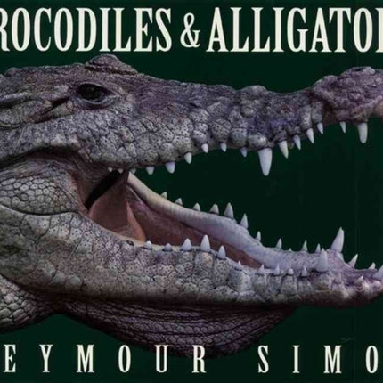 Crocodiles & Alligators