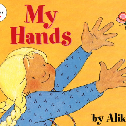 My Hands