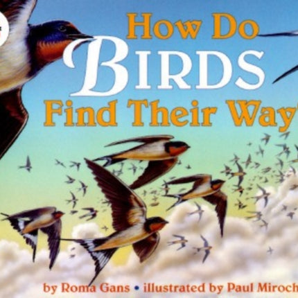 How Do Birds Find Their Way