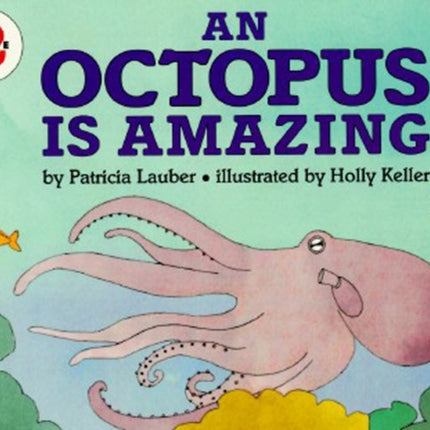 An Octopus is Amazing