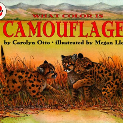 What Colour is Camouflage LetsReadAndFindOut