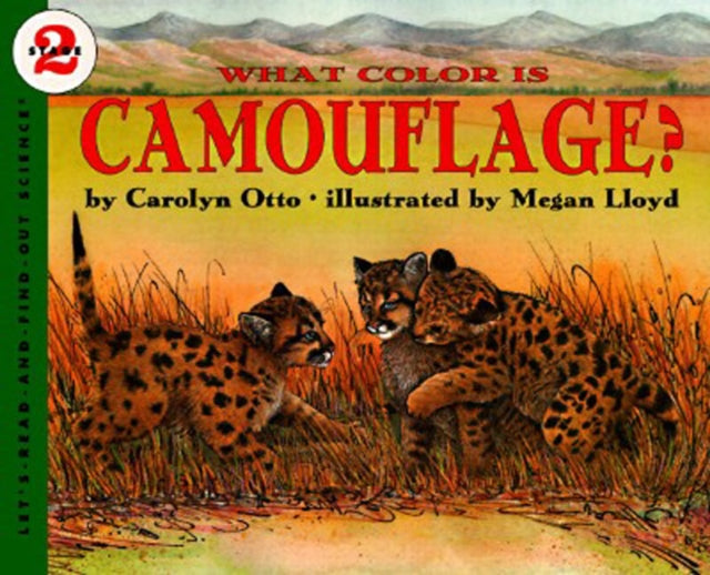 What Colour is Camouflage LetsReadAndFindOut