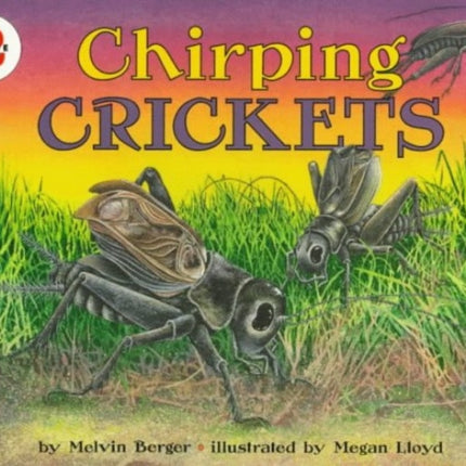 Chirping Crickets