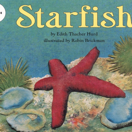 Starfish