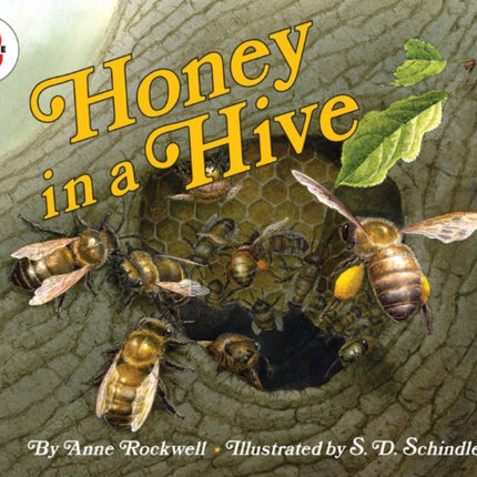 Honey In A Hive