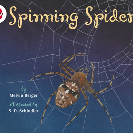 Spinning Spiders