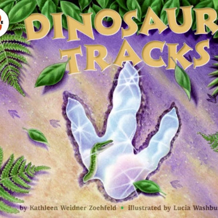 Dinosaur Tracks