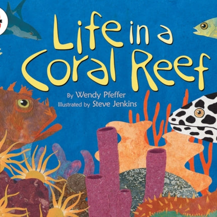 Life in a Coral Reef