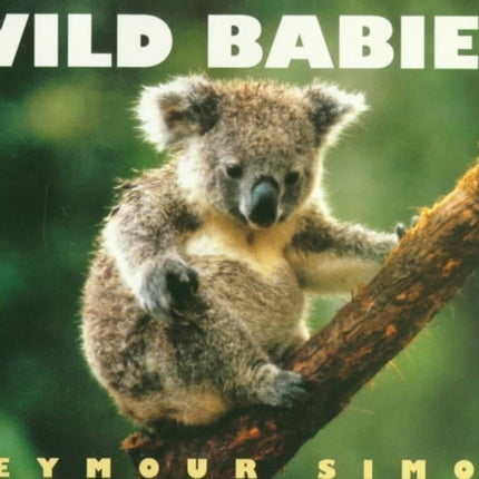 Wild Babies